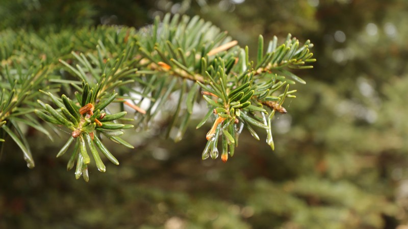 IMG_1053_1.jpg