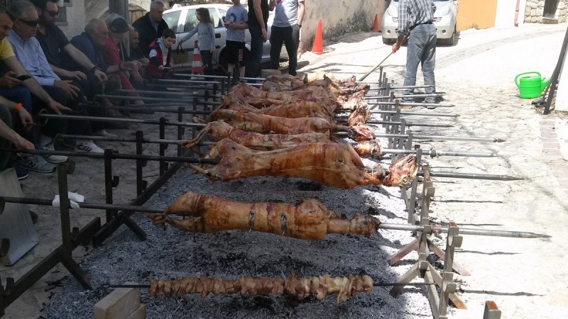 20190428_113159.jpg