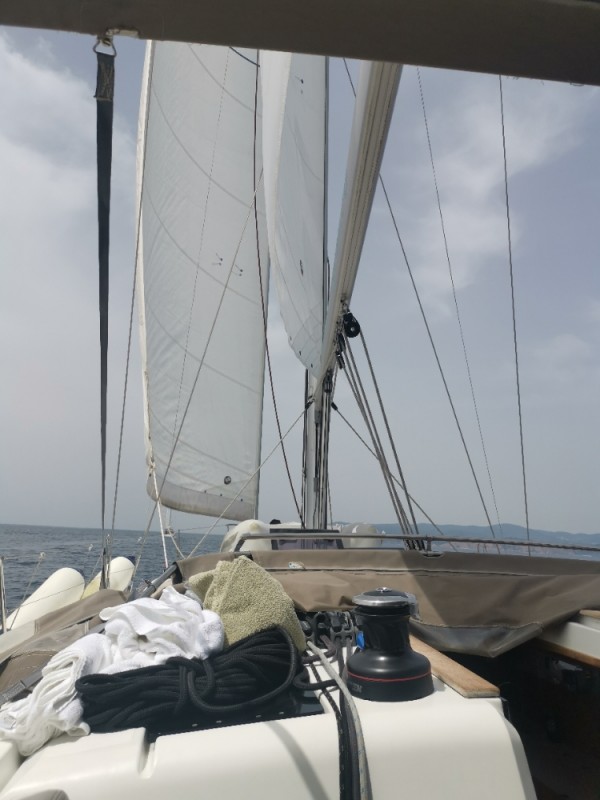Resizer_16251296696570.jpg