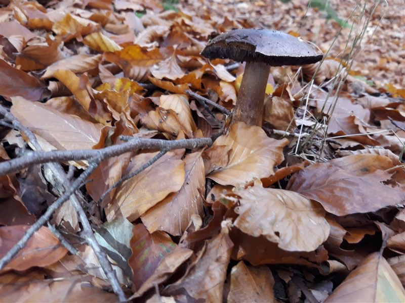 20211030_114438.jpg