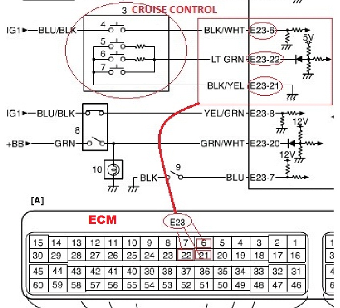 Cruise_Control_to_ECM.jpg