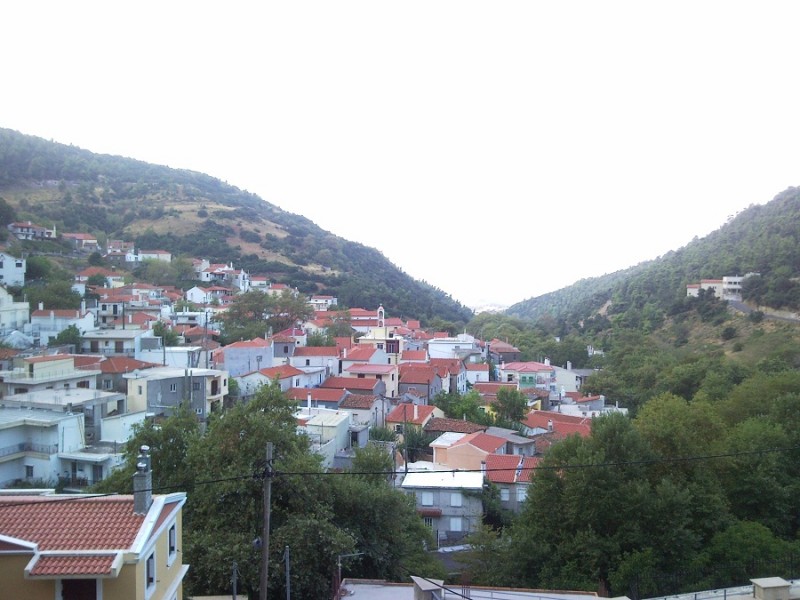 ΣΤΕΝΗ ΕΥΒΟΙΑΣ 002.jpg