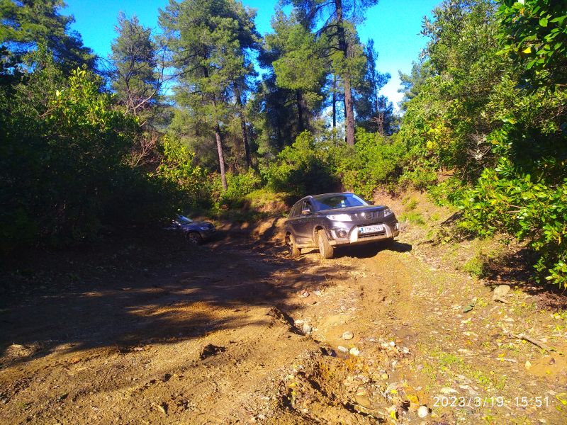 IMG_20230319_155120R.jpg