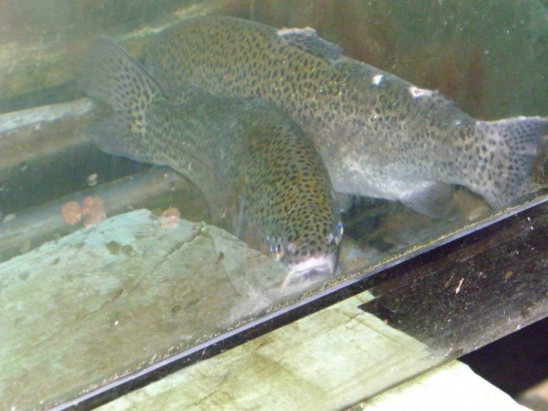 P9120114.jpg