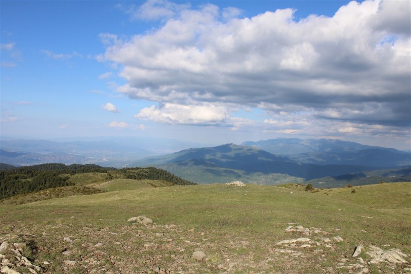 IMG_1200.jpg
