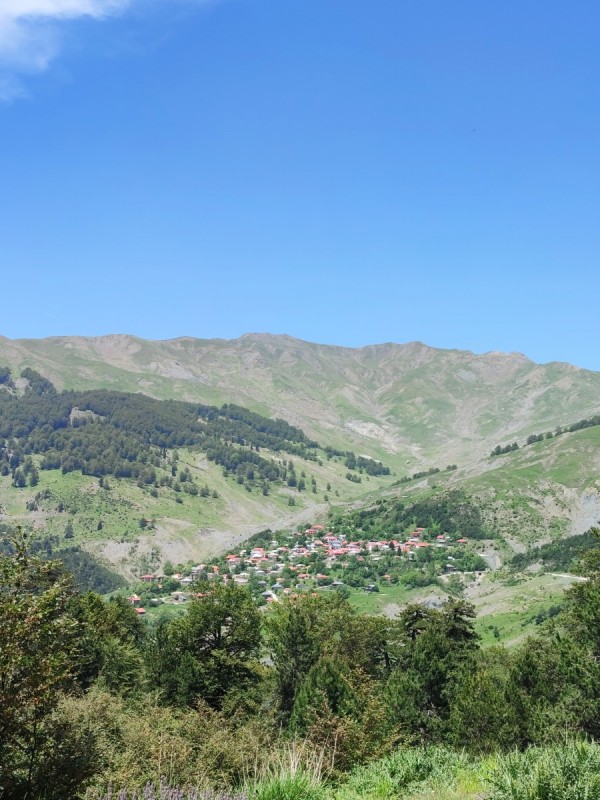 IMG_20240607_170406.jpg