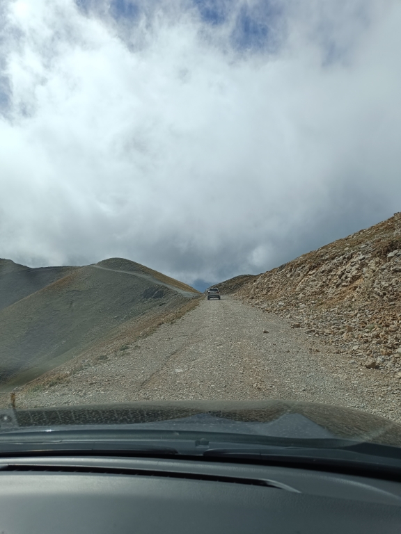 IMG_20241006_133155_copy_576x768.jpg