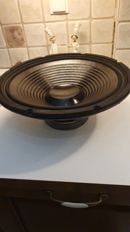 Resizer_17367916884005.jpeg