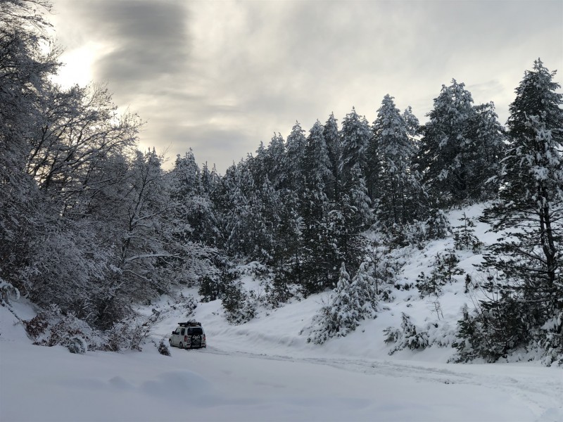 IMG_5647.jpg