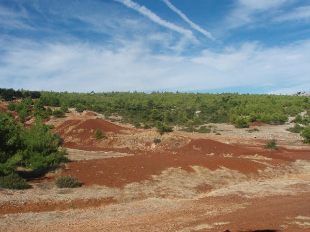 P9190539.JPG