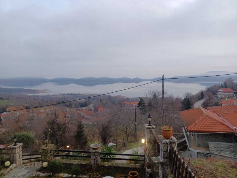 20250202_080141.jpg