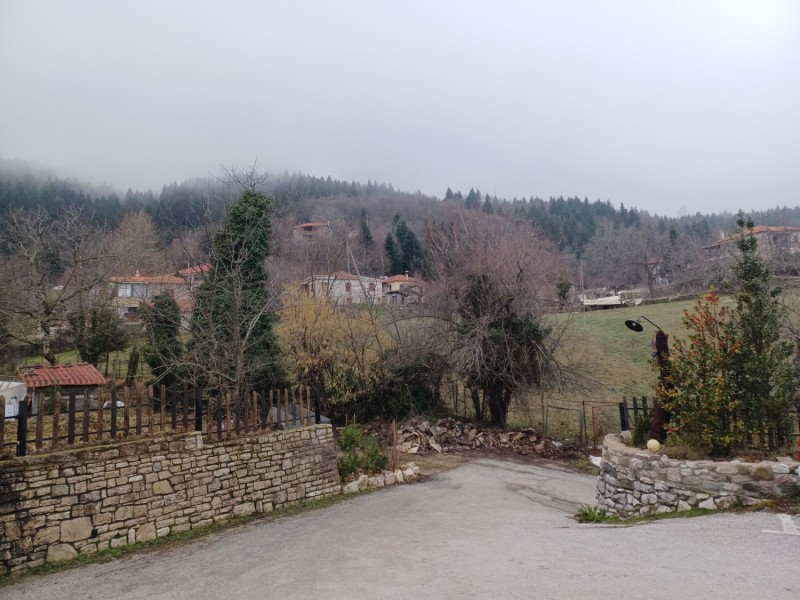 20250202_101059.jpg