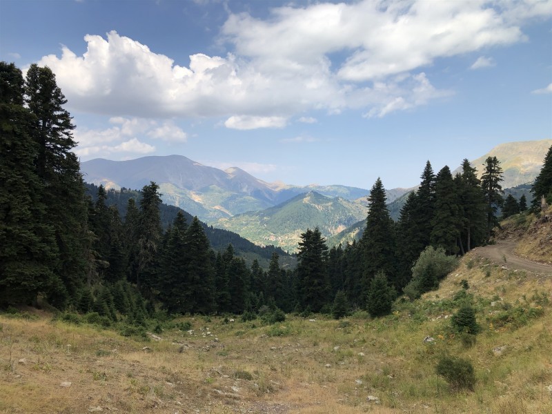IMG_4866.jpg