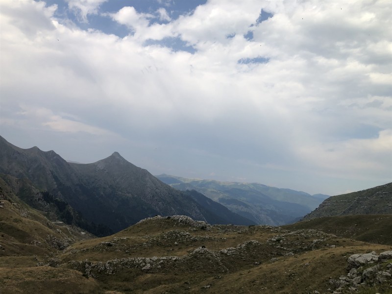 IMG_4895.jpg