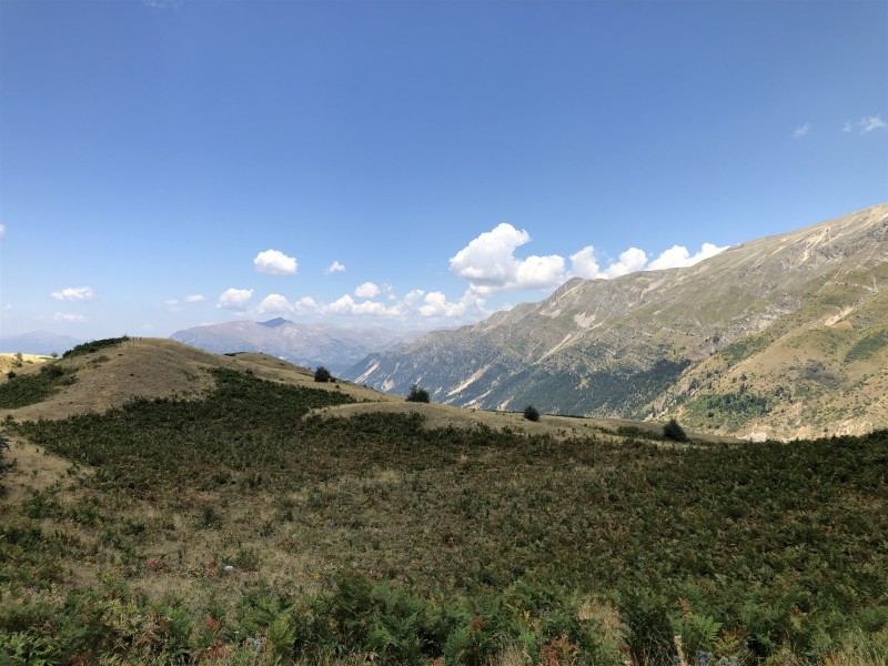IMG_4941.jpg