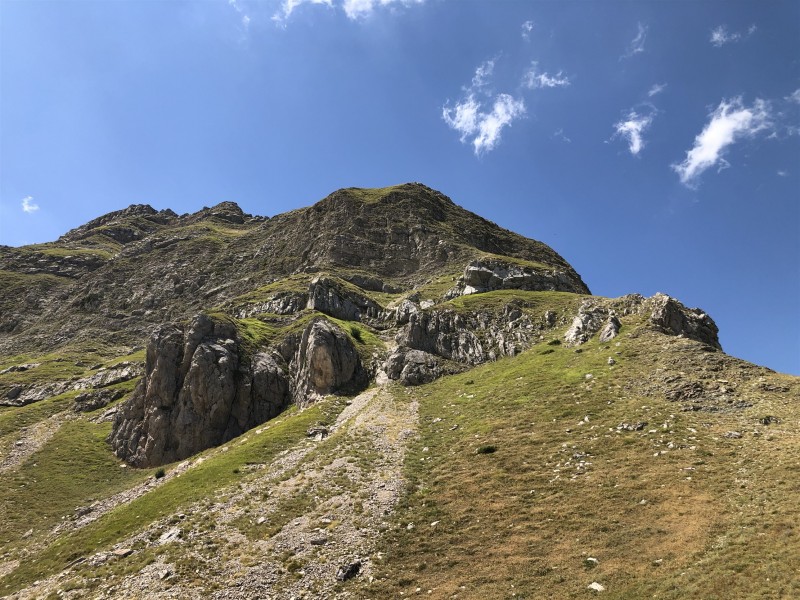 IMG_4954.jpg