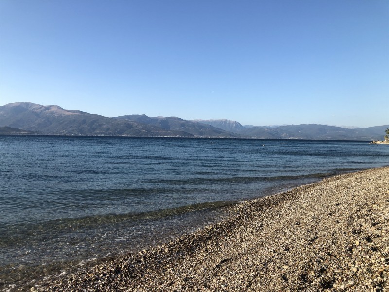 IMG_5011.jpg