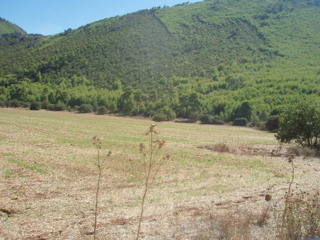 P9190570.JPG