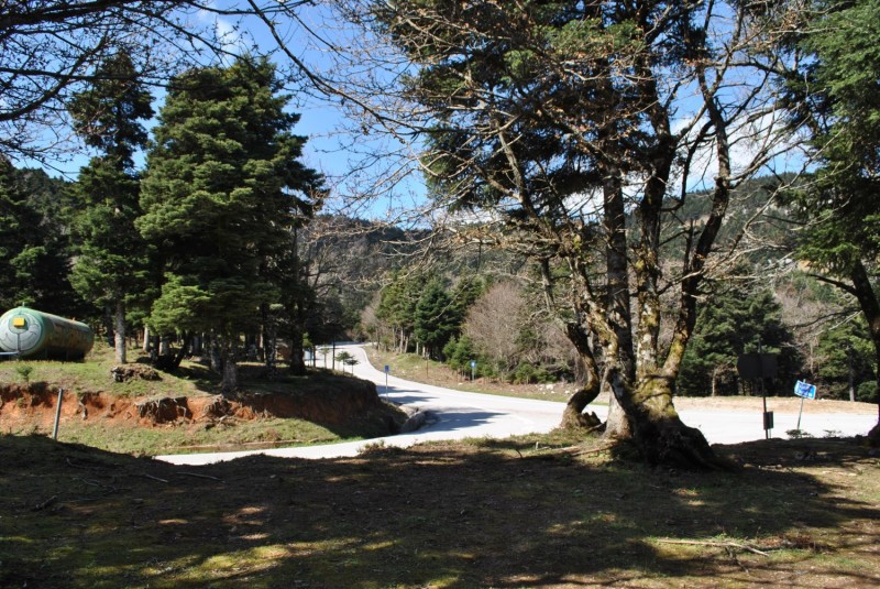 DSC_2031.jpg