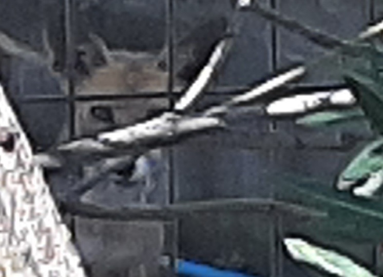20250603_092105.jpg