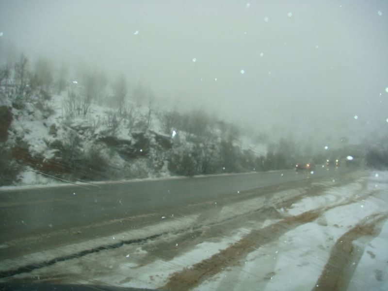 DSC06334-web.jpg