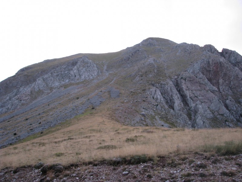 246kh.jpg