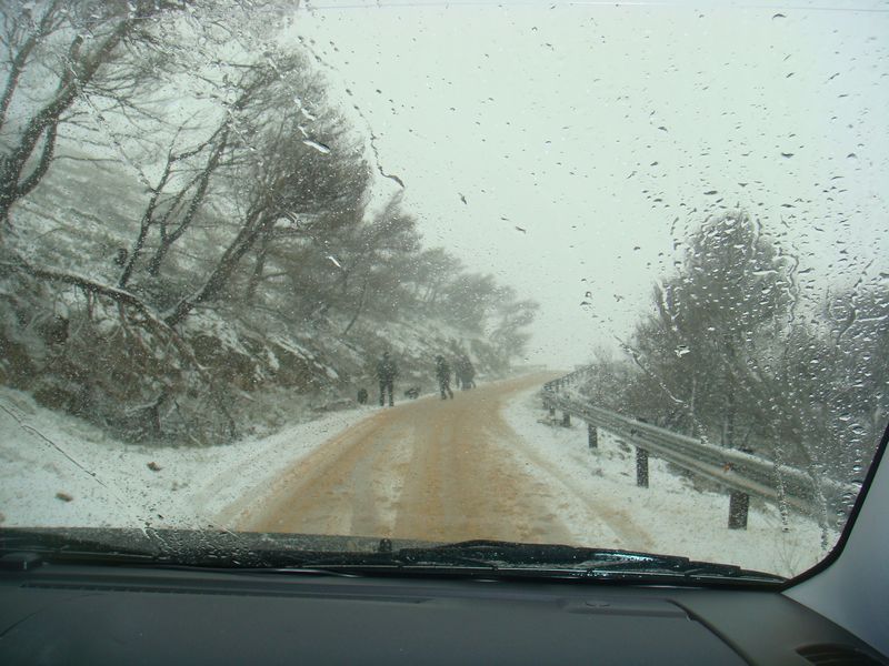 DSC06352-web.jpg