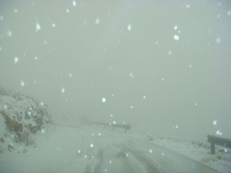 DSC06355-web.jpg