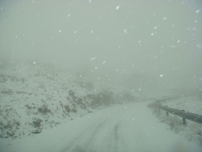 DSC06356-web.jpg
