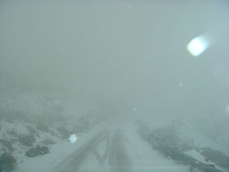 DSC06378-web.jpg