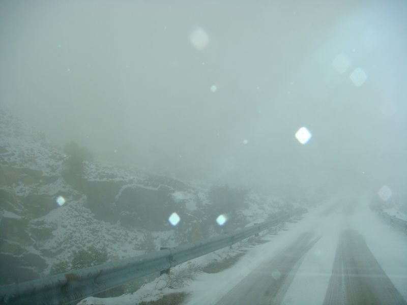DSC06377-web.jpg