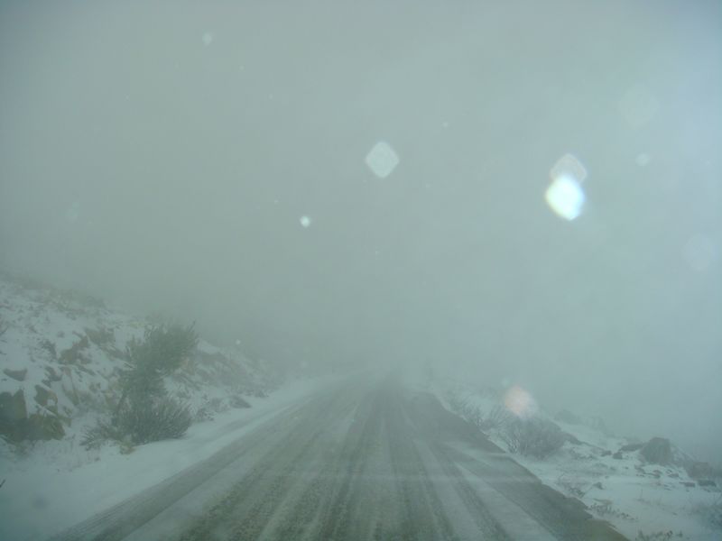 DSC06375-web.jpg