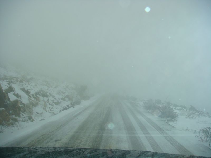 DSC06374-web.jpg