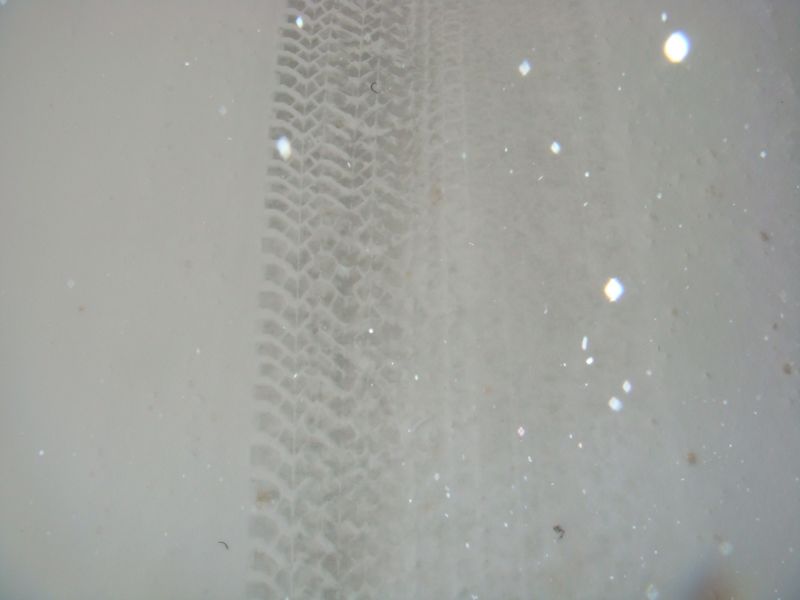 DSC06372-web.jpg
