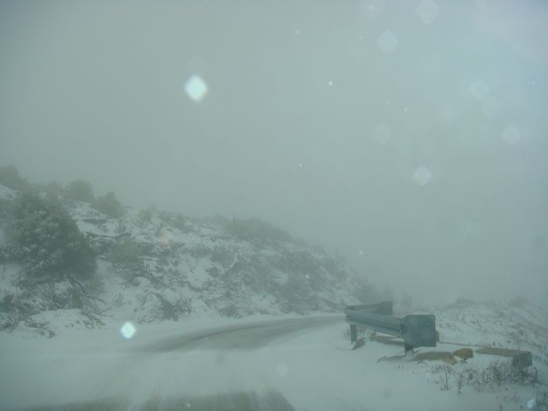 DSC06381-web.jpg