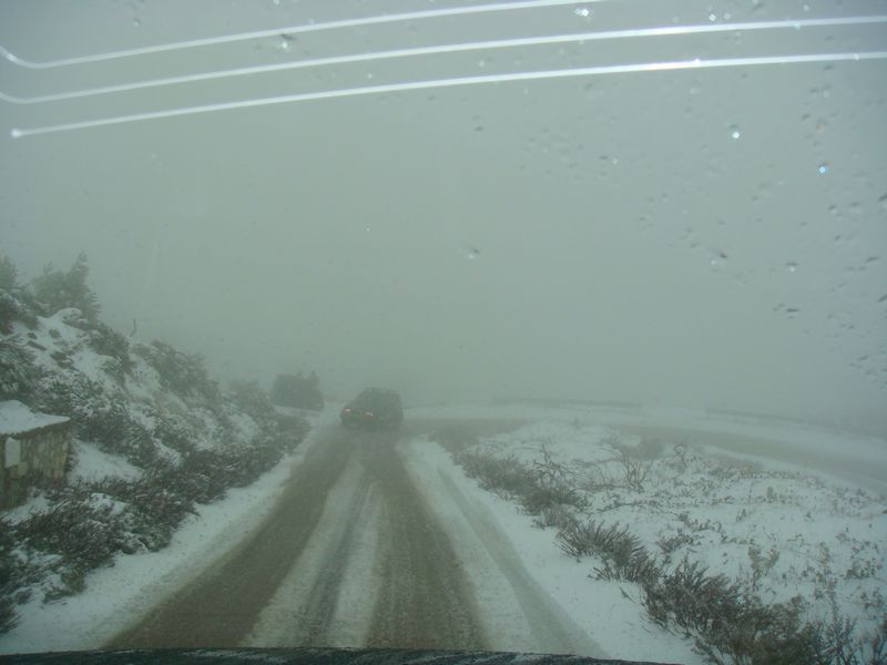 DSC06383-web.jpg