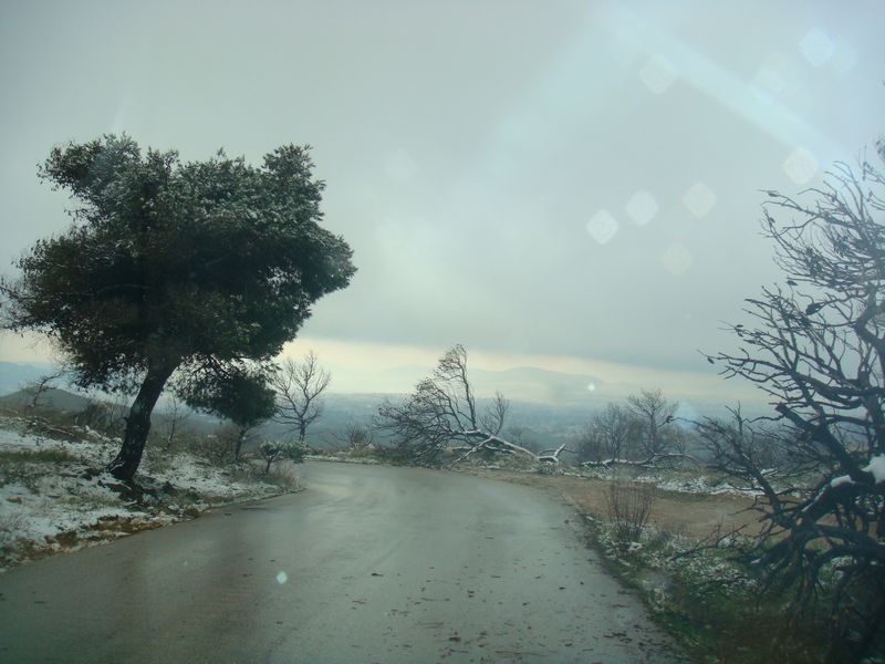 DSC06390-web.jpg