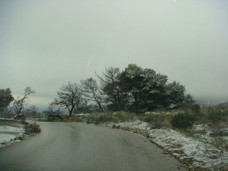 DSC06389-web.jpg