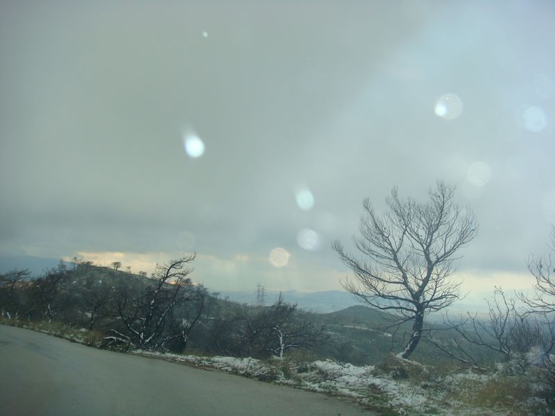 DSC06391-web.jpg