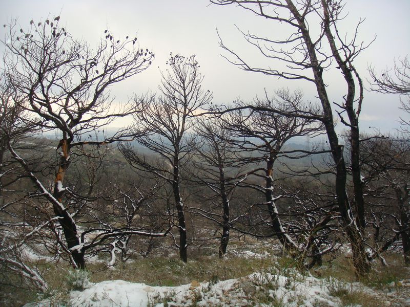 DSC06393-web.jpg