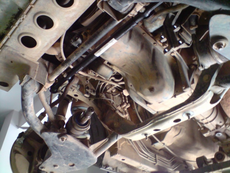 P300910_11.58.jpg