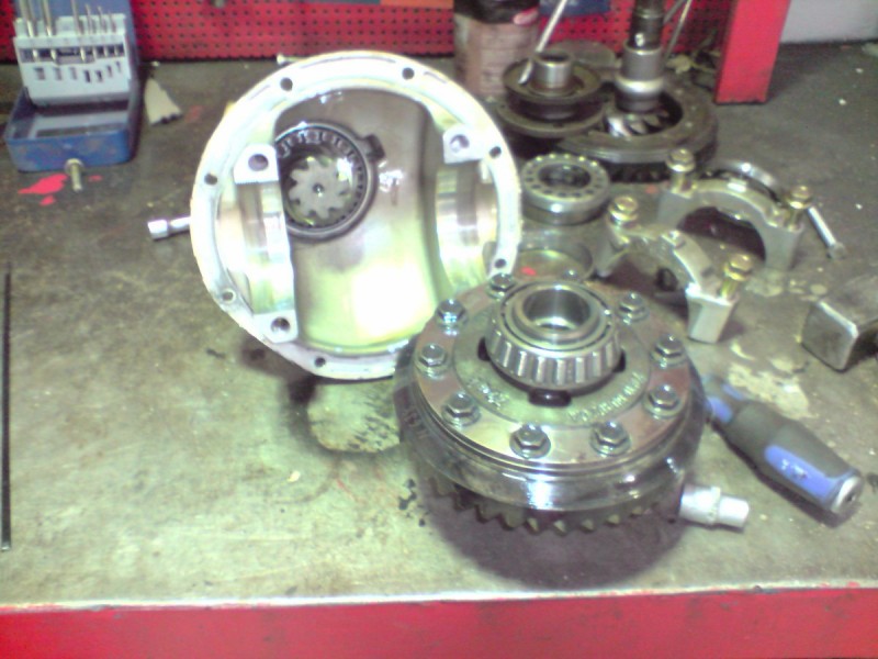 P300910_12.01.jpg