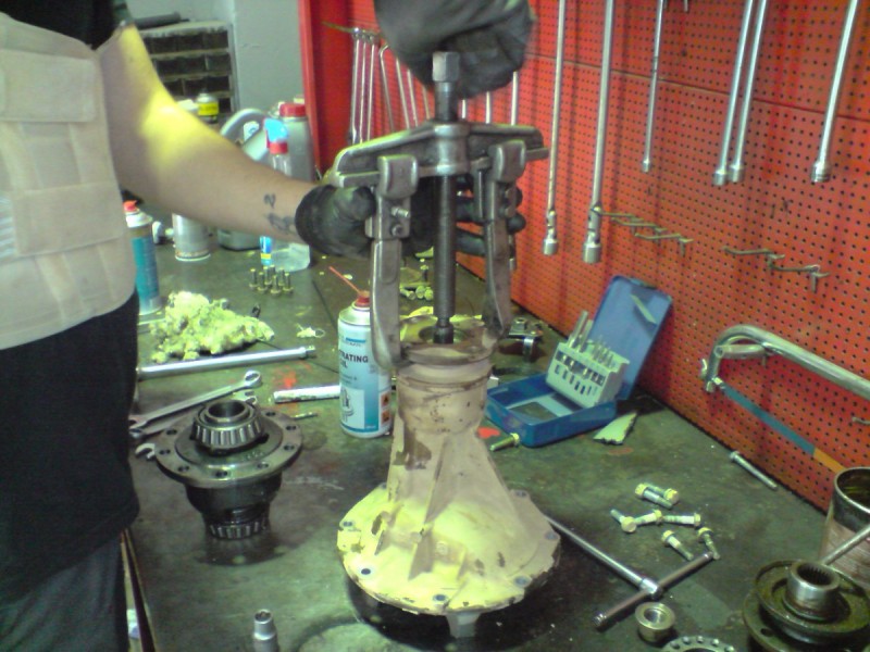P300910_12.03.jpg