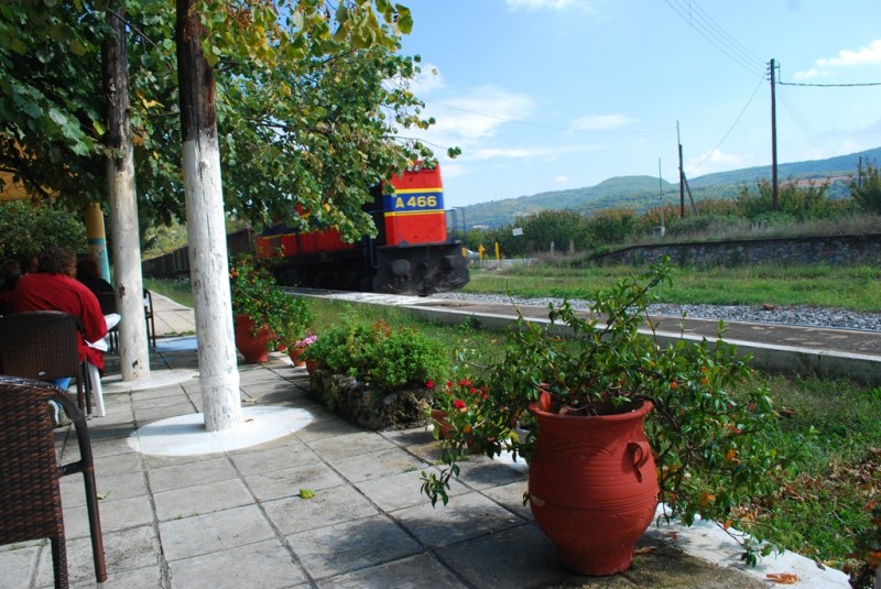 DSC_3373.JPG