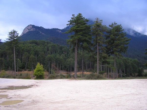 P1011277.jpg