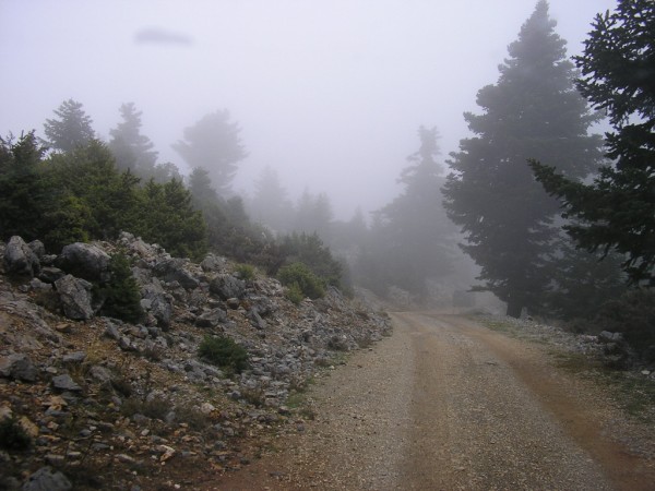 P1011224.jpg