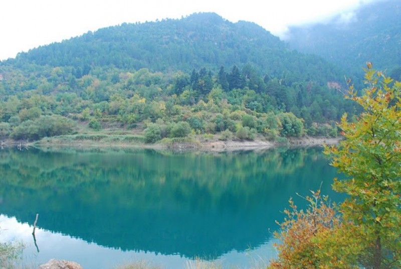 DSC_3788.JPG