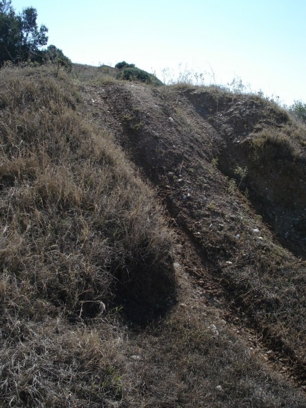 DSC09543.jpg