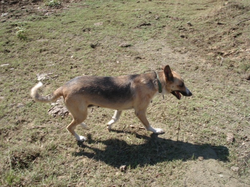 DSC09537.jpg