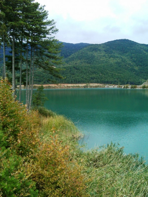 IMG00009-20101009-1318.jpg